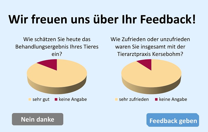 feedback tierarzt kersebohm dortmund lnen