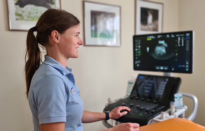ultraschall diagnostik team kersebohm luenen 